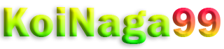 KOINAGA99